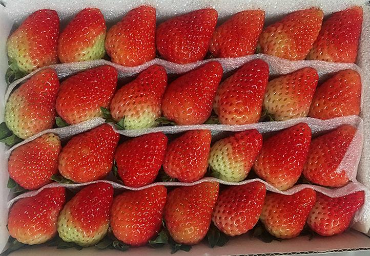 导读：莎莎和草莓两者都是美味的水果，在食用上却存在许多差异