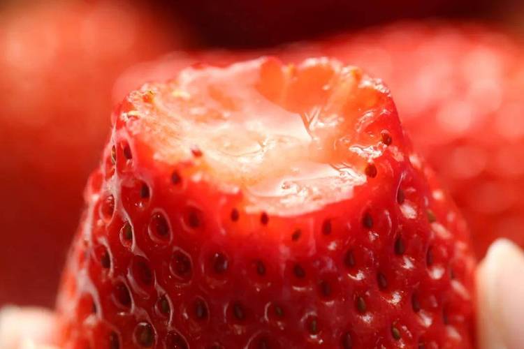 草莓香味在哪里看