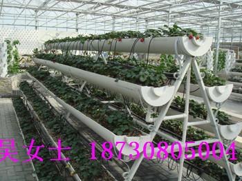 导读：本文将介绍萍乡草莓立体架，为您了解其价格提供参考