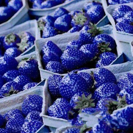 【导读】蓝色草莓是一种特殊品种的草莓，外表与普通的红色草莓有所不同