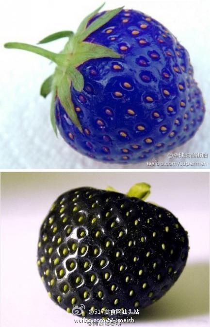 导读：全球各地拥有富含着丰富营养的蓝莓